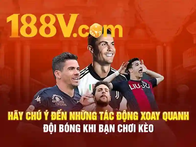 Tóm tắt và lời mời trải nghiệm