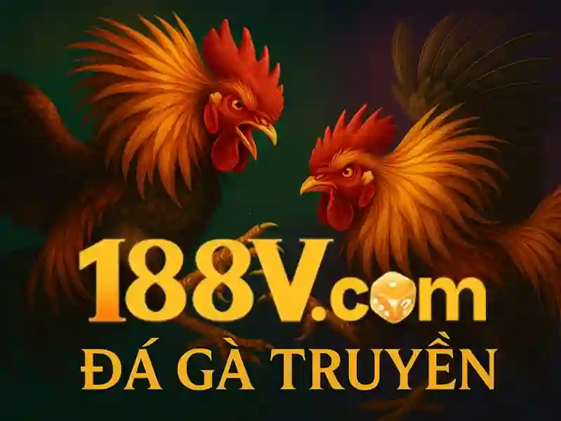 Huong dan dat cuoc the thao chi tiet tai nha cai