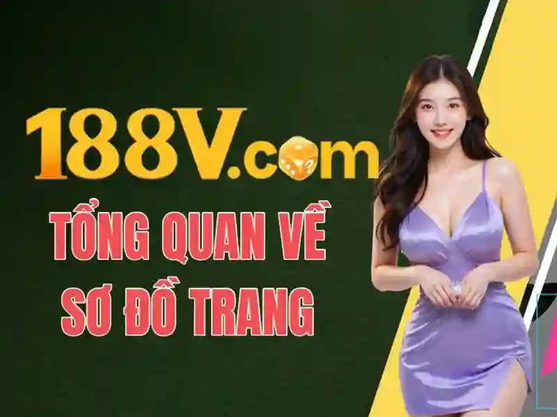 Phát triển và tầm nhìn tương lai