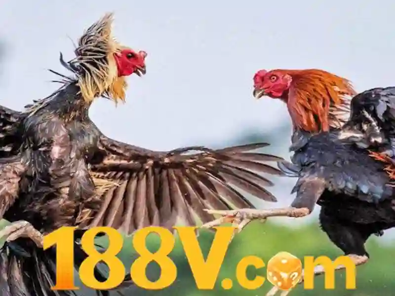 H2. Lợi thế và cạnh tranh của hỗ trợ 188v