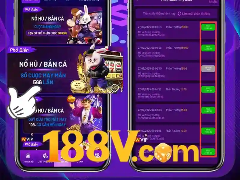 Trải nghiệm người dùng và phản hồi từ cộng đồng